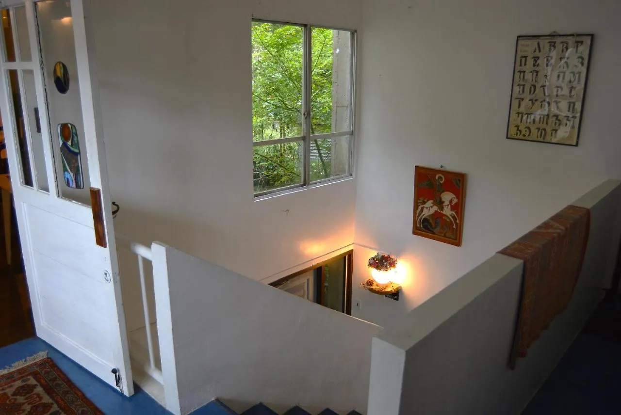 Guest house Hakone Mori No Yado Hotel