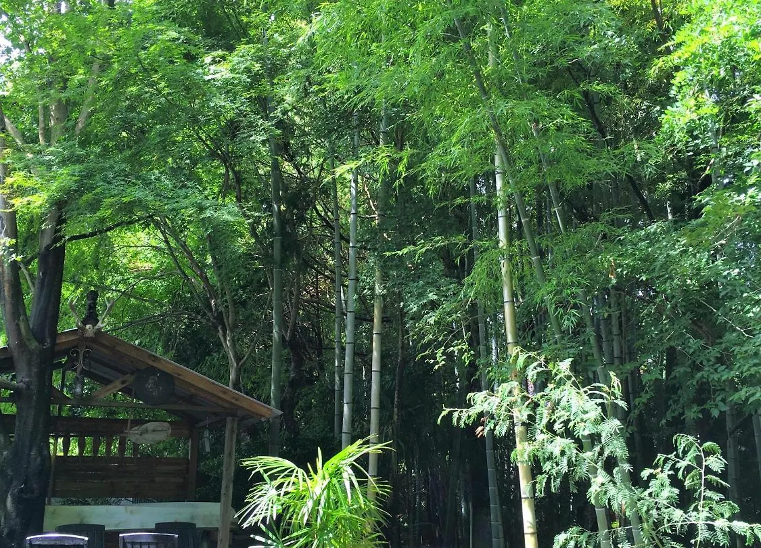 Hakone Mori No Yado Hotel 0*,