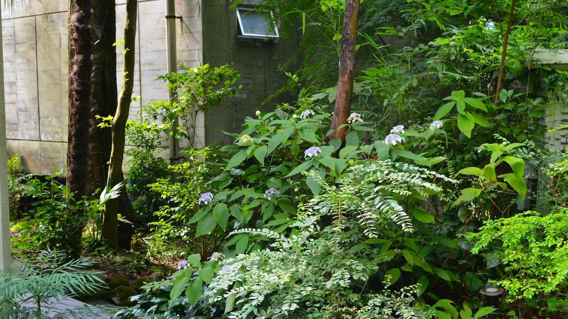 Hakone Mori No Yado Hotel